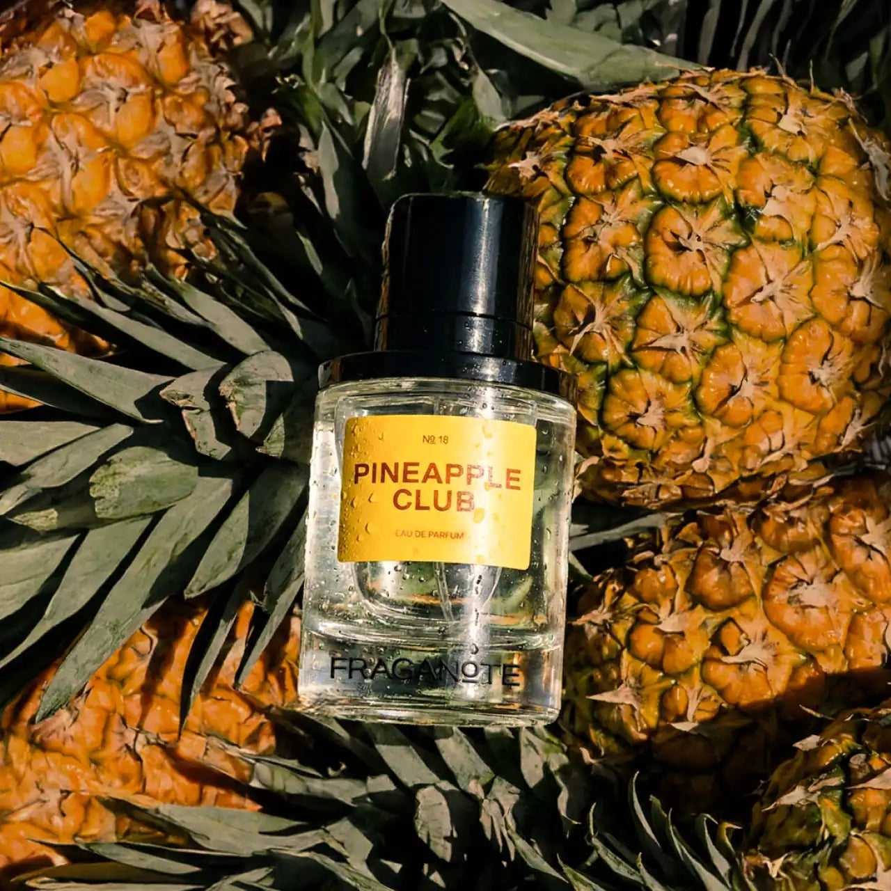 Pineapple Club 50ML Fraganote