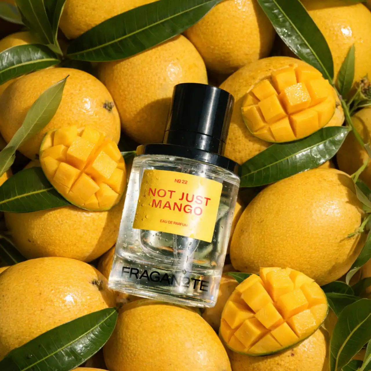 Not Just Mango 50ML Fraganote