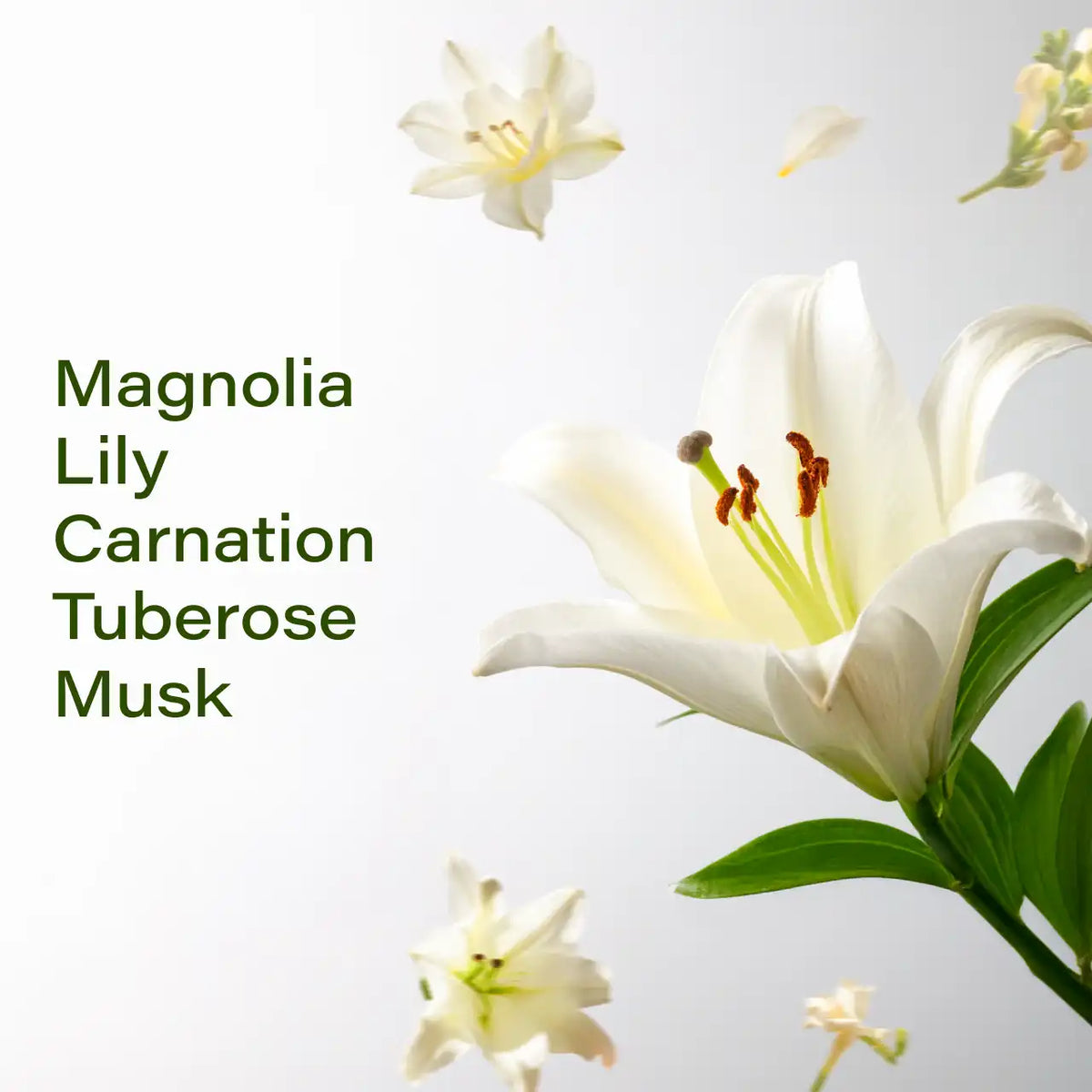 White Floral 50ML Fraganote