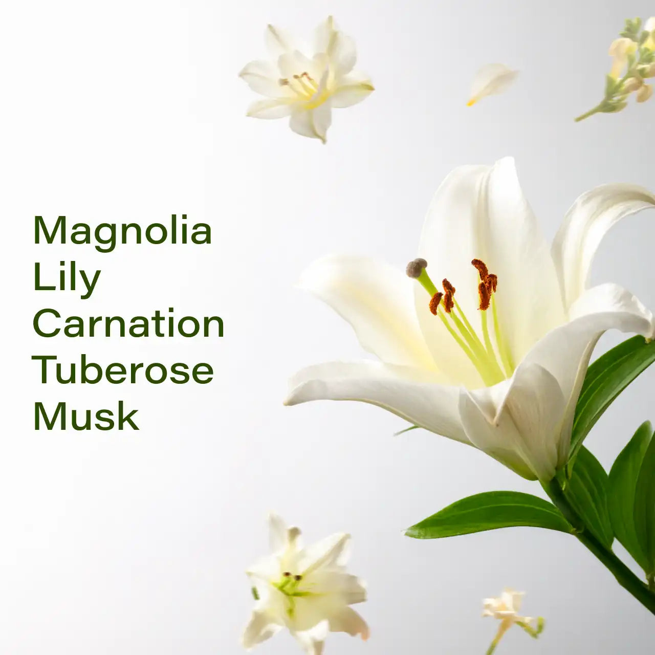 White Floral 50ML Fraganote