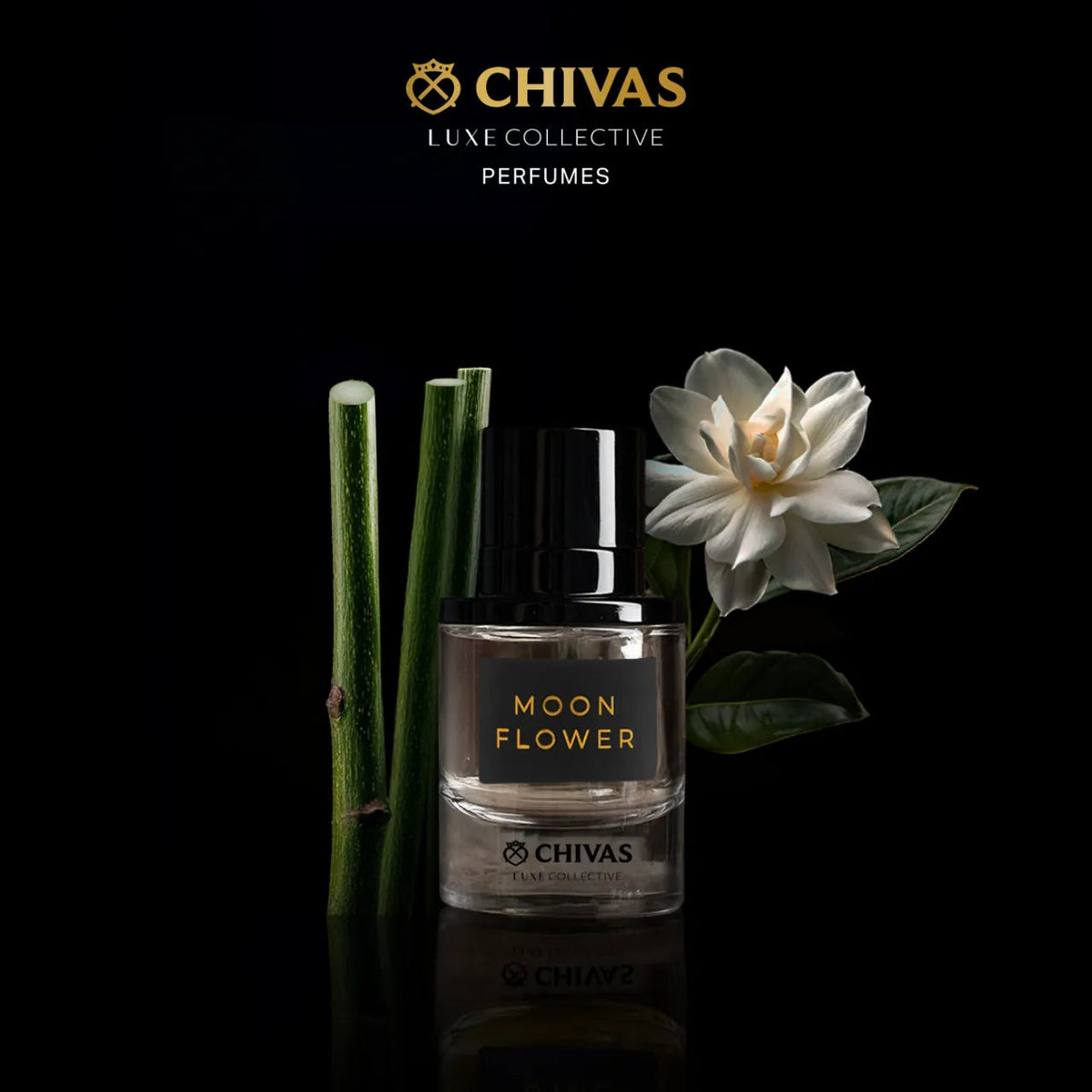 Moon Flower 50ML Fraganote